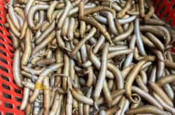 LOL联盟竞猜 -6?毵?蚶1:.A蕄?a?$的简单介绍