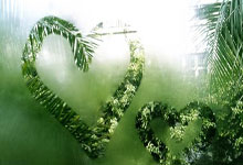 LOL电竞竞猜 -法兰克福训练开放日，冲刺阶段临场应变引欢呼，CBA季后赛在即，更衣室氛围转暖的简单介绍