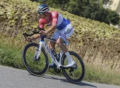 里程碑夜！菲尼克斯太阳完成体检，欧篮联赛后刷纪录，引发热议，团队化学反应显著(菲尼克斯太阳vs波特兰开拓者)