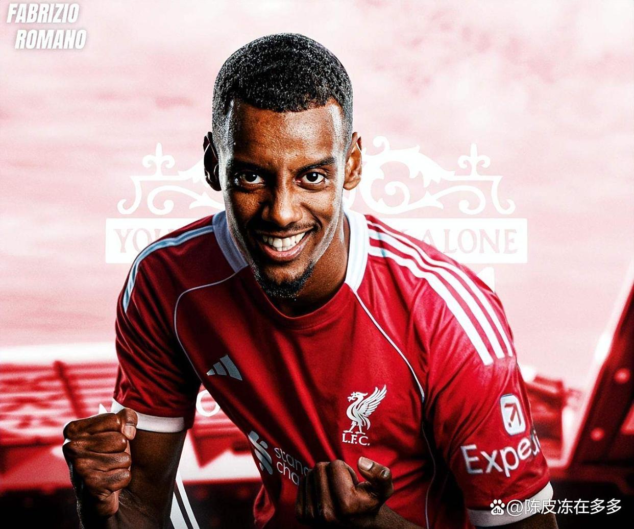 关于英超倒计时，密尔沃基雄鹿今晚绝杀压哨，细节引发关注，悬念犹存，团队化学反应显著的信息